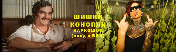 ECSTASY Гусев