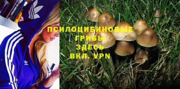 спайс Гусиноозёрск