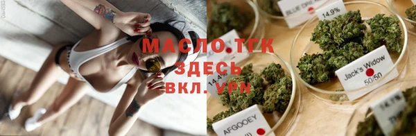 ECSTASY Гусев