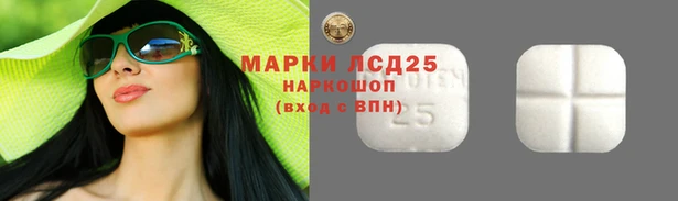 ECSTASY Гусев