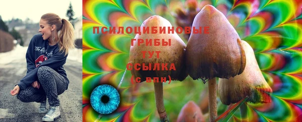 ECSTASY Гусев