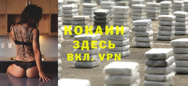 ECSTASY Гусев