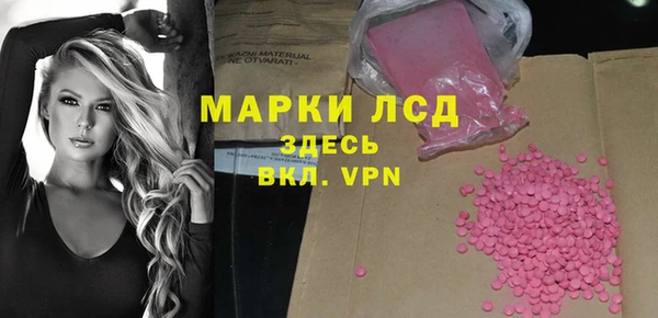ECSTASY Гусев